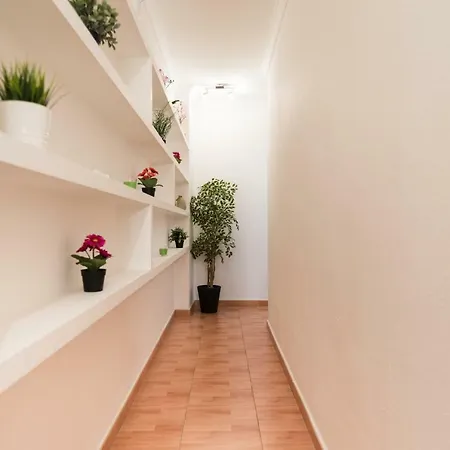 Vivienda Miguel Rosas Apartment *