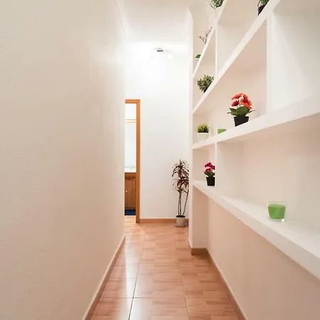 Vivienda Miguel Rosas